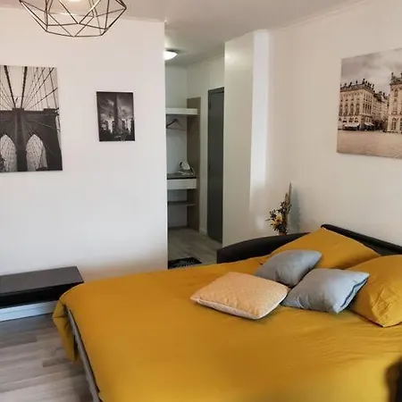 Apartment Mega Jeanne D'arc Billard Baby Foot Insolites Nancy