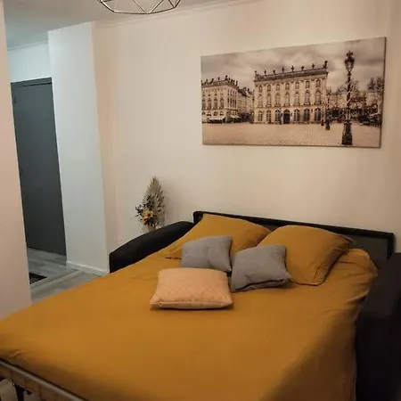 Apartment Mega Jeanne D'arc Billard Baby Foot Insolites Nancy