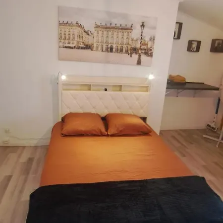 Méga Jeanne D'arc Billard Baby Foot En Option Escape Game Insolites Appartement Nancy