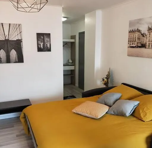 Apartament Mega Jeanne D'arc Billard Baby Foot En Option Escape Game Insolites Nancy