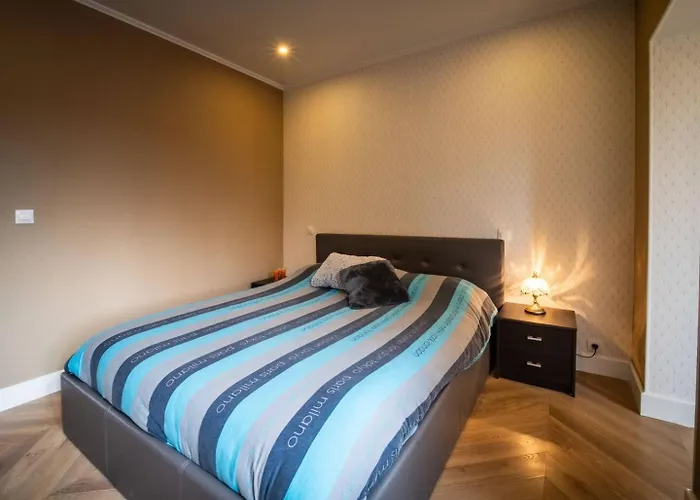 Mega Jeanne D'arc Billard Baby Foot En Option Escape Game Insolites ナンシー